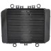 RP1060-1016B Radiator Cooler for Kawasaki ER5 ER5N 1996-2006