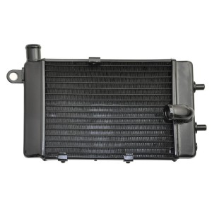 RP1060-1017B Radiator Cooler Rigth Side for Aprilia Mille RSV1000 Tuono 2002-2005
