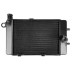 RP1060-1018B Radiator Cooler Left Side for Aprilia Mille RSV1000 Tuono 2002-2005