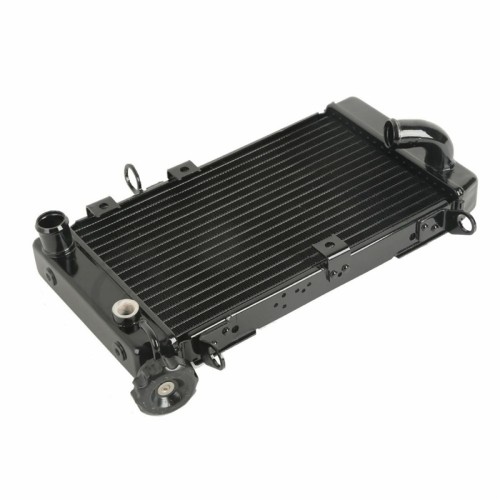 RP1060-1019 Radiator Cooler for Suzuki SV650N SVN650 1999-2002