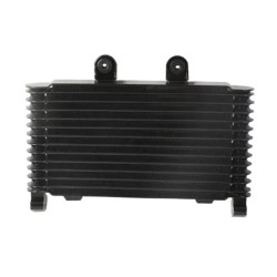 RP1060-1025B Radiator Cooler for Suzuki BANDIT GSF1200/N/S 1996-2000