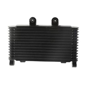 RP1060-1025B Radiator Cooler for Suzuki BANDIT GSF1200/N/S 1996-2000