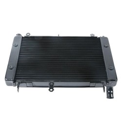 RP1060-1028B Radiator Cooler for Yamaha FZS1000 FAZER FZ1 2001-2005