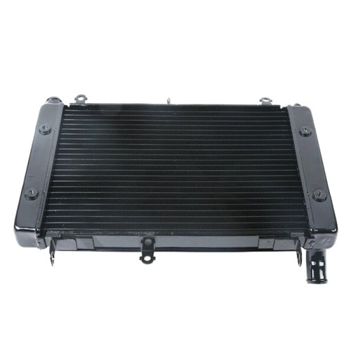 RP1060-1028B Radiator Cooler for Yamaha FZS1000 FAZER FZ1 2001-2005