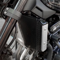 RP1060-2107B Radiator Grille Guard Protector Cover for Kawasaki Z900RS 2021-Later