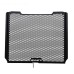 RP1060-2108B Radiator Grille Guard Protector Cover for Kawasaki ZX-6R 2009-Later