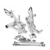 RP0420-2025 Adjustable Footpeg Footrest Rear Set For Honda CBR1000RR 2004-2007