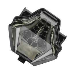 RP6630-2019L Motorcycle Tail Light For YAMAHA MT-07 2014-2017 YAMAHA FZ-07 2014-2017 YAMAHA YZF R25 2014-2022 YAMAHA YZF R3 2015-Later YAMAHA MT-25 2015-2022 YAMAHA MT-03 2016-Later