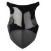 RP8810-1229 Motorcycle Windshield Windscreen for Kawasaki Ninja 1000 Z1000SX 2011-2016